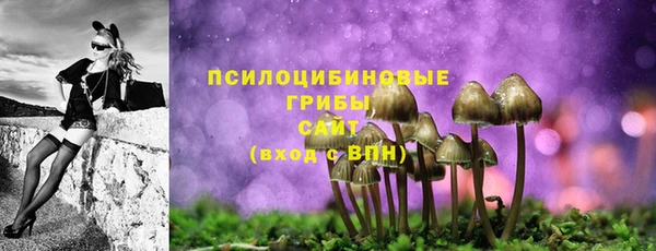 бошки Лиски