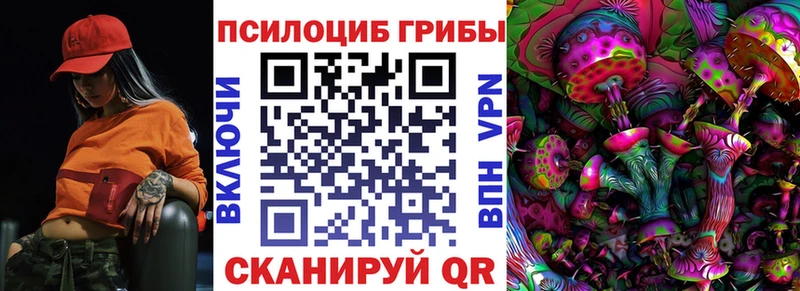 как найти закладки  Зеленоградск  Галлюциногенные грибы мицелий 